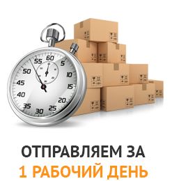 Отправляем за 1 рабочий день