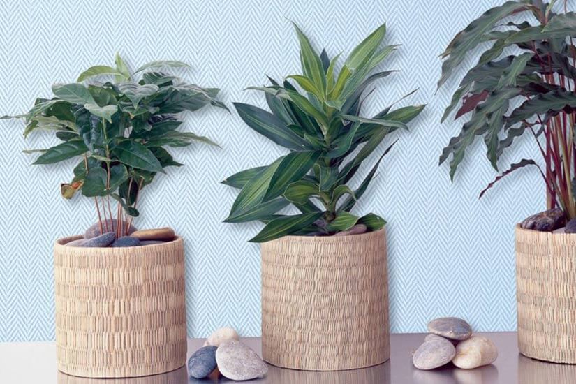 Стеклообои Ёлочка мелкая Стеклообои Ёлочка мелкая